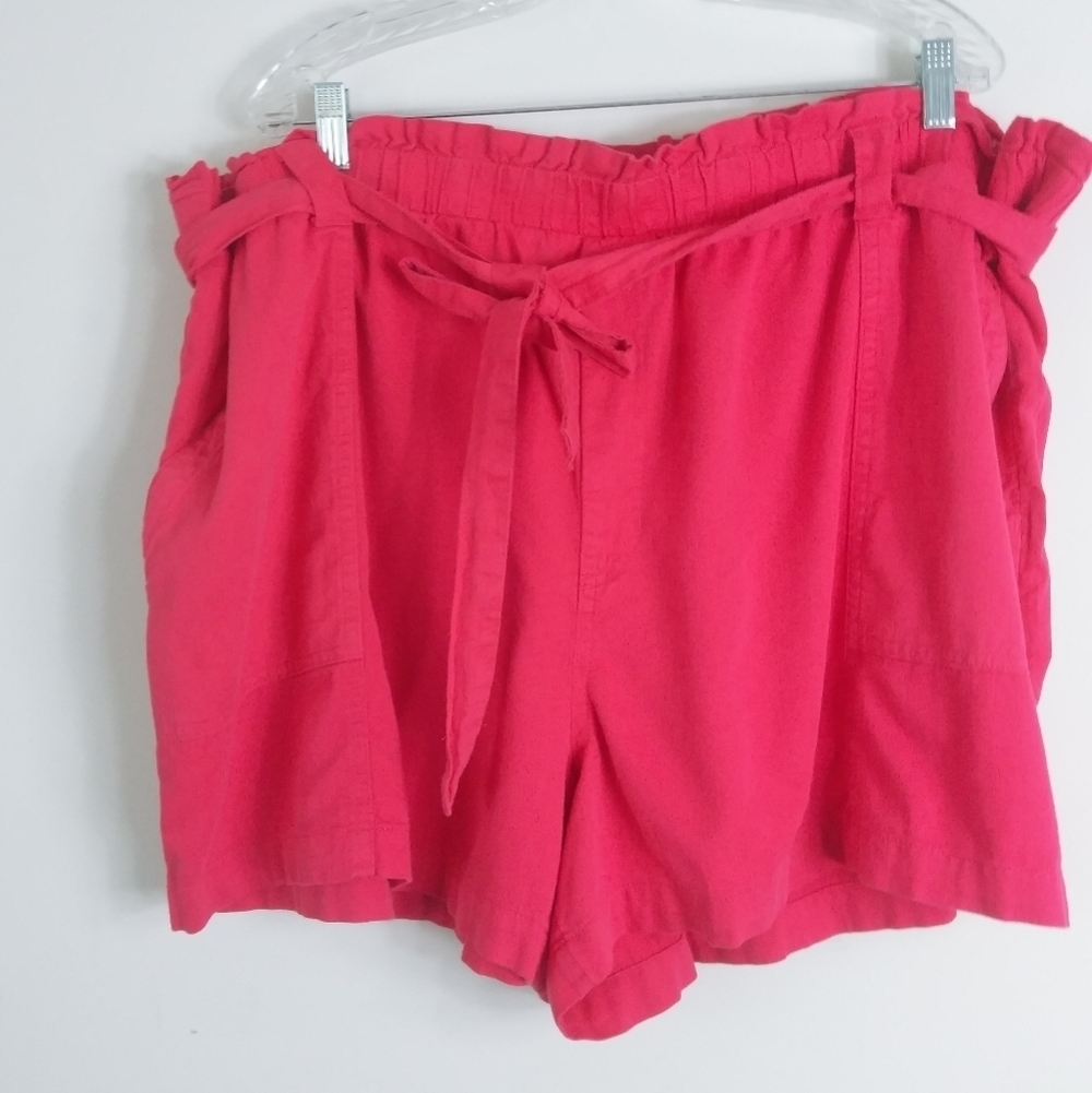 Terra & sky Shorts